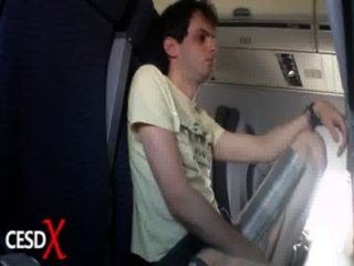 Paja En Avion De United Airlines | Lgcba.com