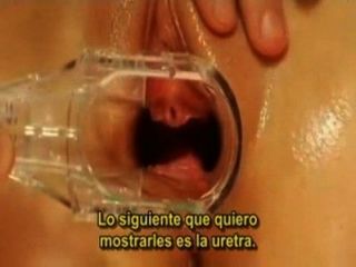 Como Darle Un Buen Orgasmo A Tu Pareja