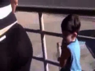 Delicia Transparente