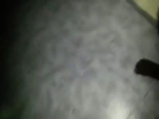 Nehymar Pajeandose 2