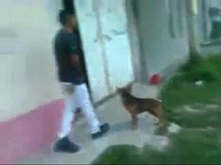 Amigo Caught Pissing Outside