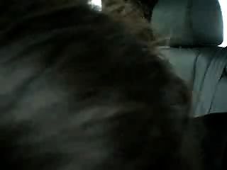 Cheating Milf Sucks Off A Stranger In The Parking Lot