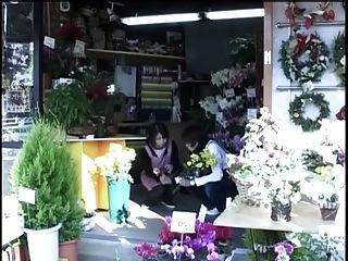 The Melancholy My Elder Sister