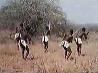 African Enormous Penises !real Safari!
