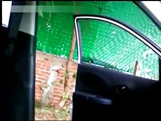 Mexicanos Cogiendo En Su Auto