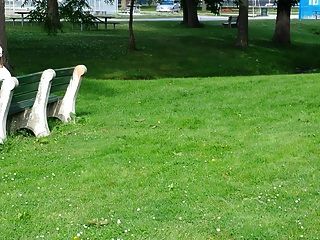 Stroking In Park