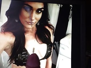 Brie Bella Tribute 01