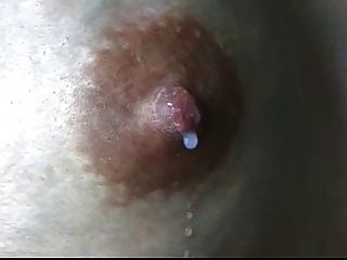 Lactamanija -  Asian Bich Whit Big Niples