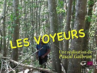 Jolie Blonde Prise En Anal En Foret Devant Des Voyeurs