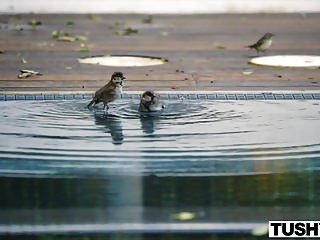 Tushy Lana Rhodes Hot Anal Threesome With A Married Couple